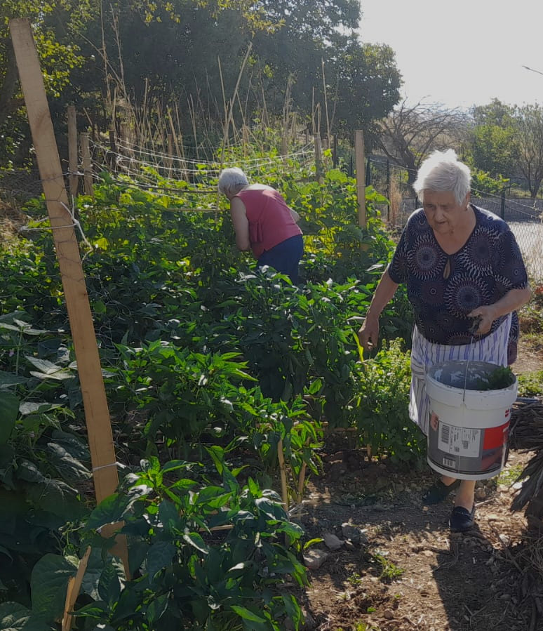 Orto della Terrazza sulle Madonie